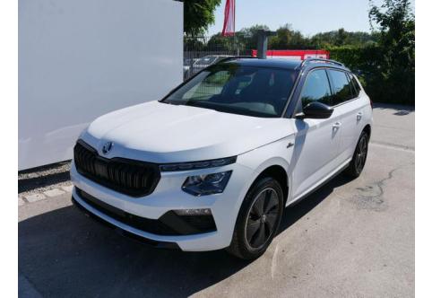 Skoda Kamiq #1