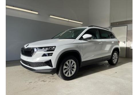 Skoda Karoq #1