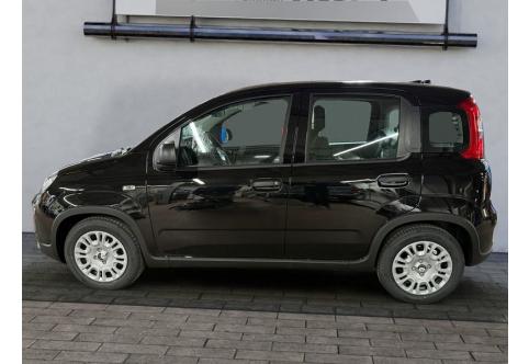 Fiat Panda #2