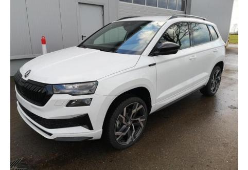 Skoda Karoq #1