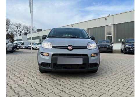 Fiat Panda #6