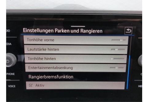 VW Passat #13