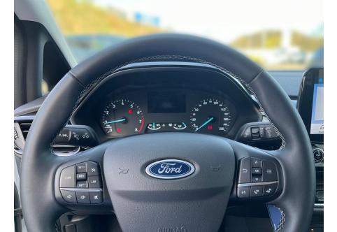 Ford Fiesta #11