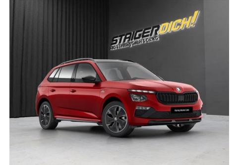 Skoda Kamiq #1
