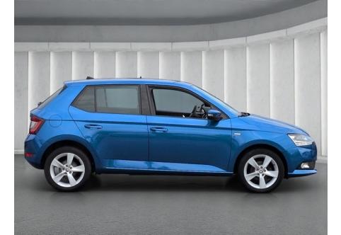 Skoda Fabia #3