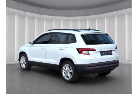Skoda Karoq #17