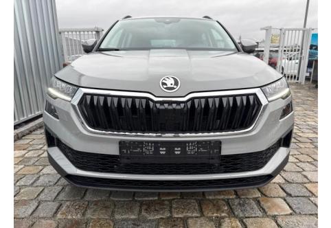Skoda Karoq #1