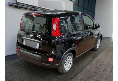 Fiat Panda #5
