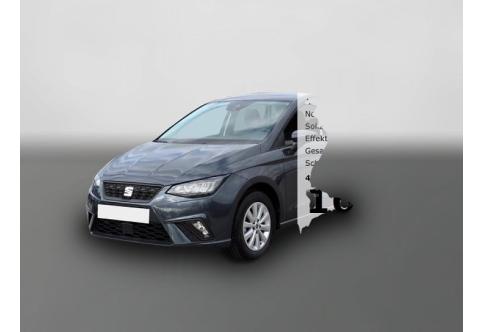 Seat Ibiza #1