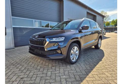 Skoda Karoq #1