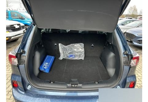 Ford Kuga #9
