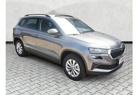 Skoda Karoq #1