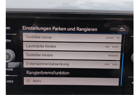 VW Passat #13