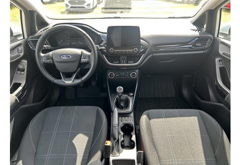 Ford Fiesta #14