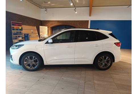 Ford Kuga #3