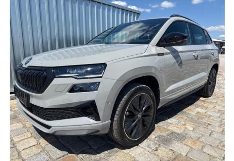 Skoda Karoq #1