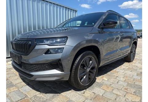Skoda Karoq #1