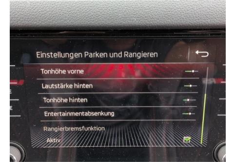 Skoda Kodiaq #16
