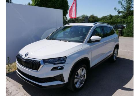 Skoda Karoq #1