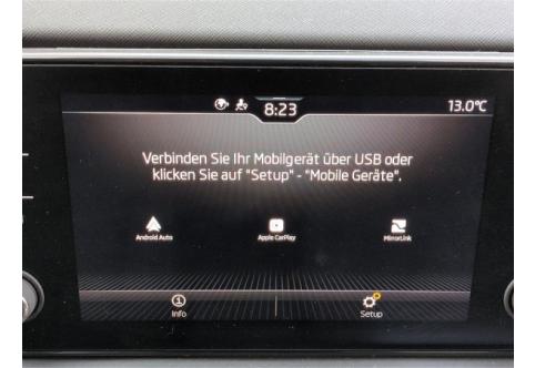 Skoda Scala #13