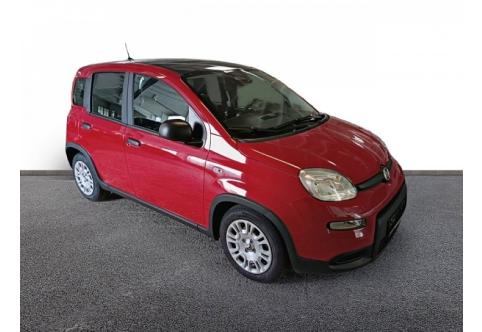 Fiat Panda #8