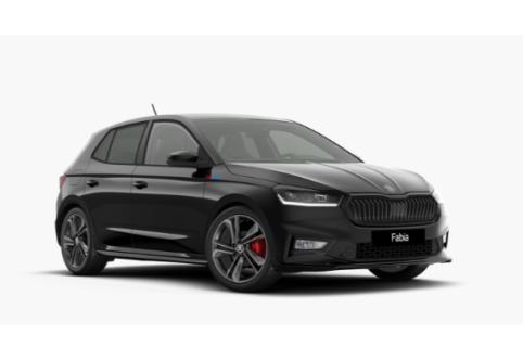 Skoda Fabia #1
