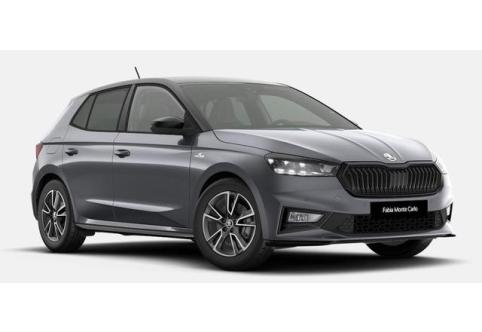 Skoda Fabia #1