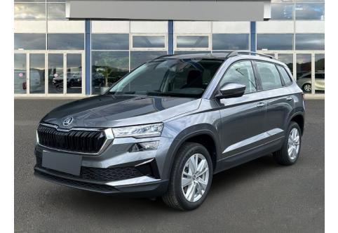 Skoda Karoq #1