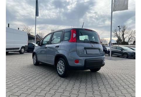 Fiat Panda #2