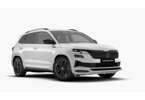 Skoda Karoq #1