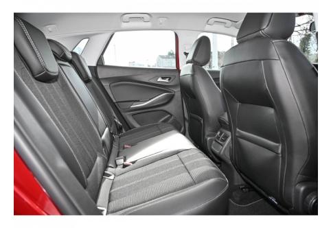 Opel Grandland X #11