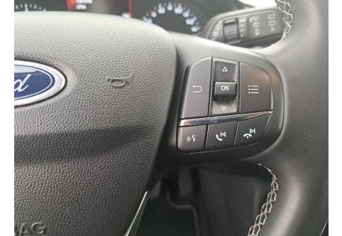Ford Fiesta #19