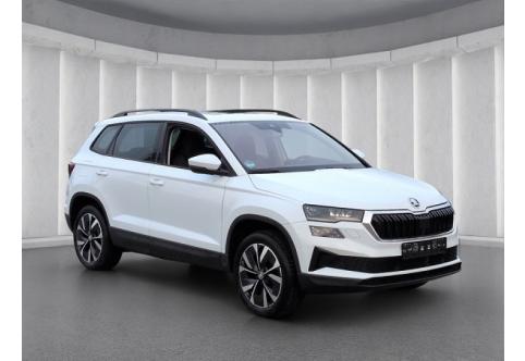 Skoda Karoq #18