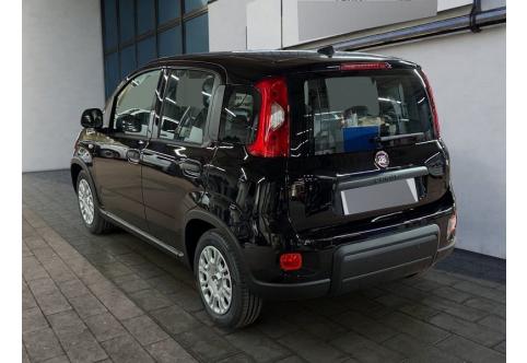 Fiat Panda #3