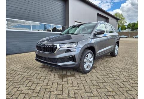 Skoda Karoq #1