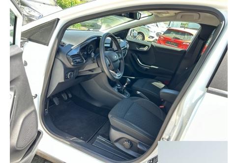 Ford Puma #10
