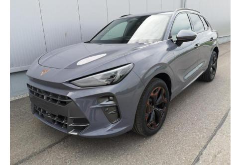 Cupra Terramar #2