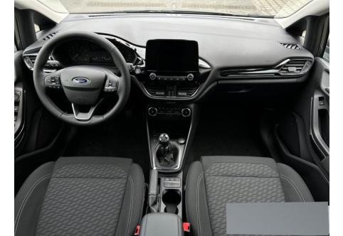 Ford Fiesta #14
