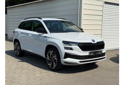 Skoda Karoq #1