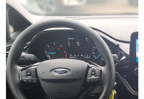 Ford Fiesta #10