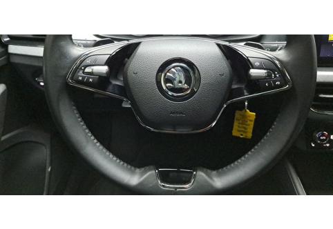 Skoda Kamiq #18