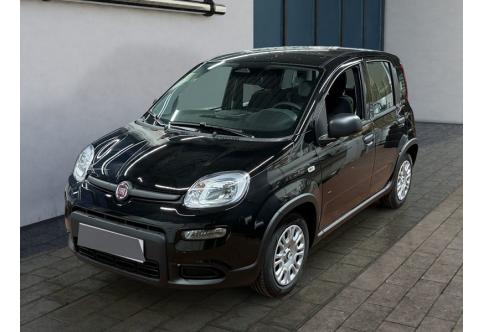 Fiat Panda #1