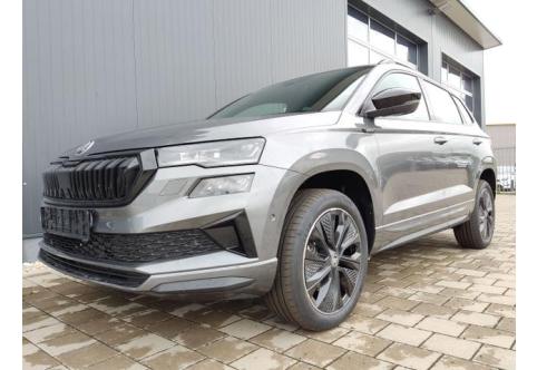 Skoda Karoq #1