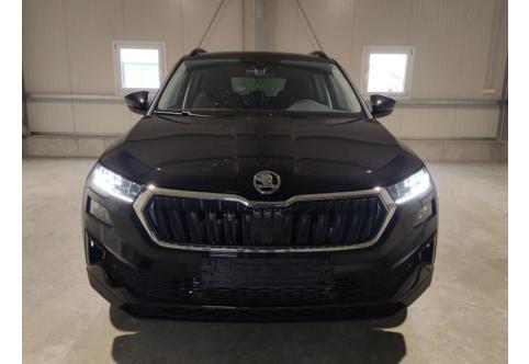 Skoda Karoq #1