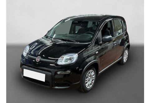 Fiat Panda #1