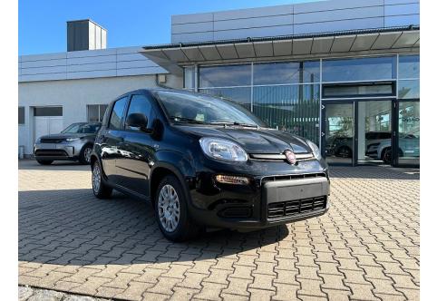 Fiat Panda #5