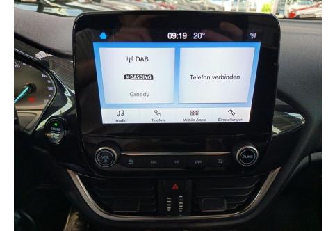 Ford Fiesta #14