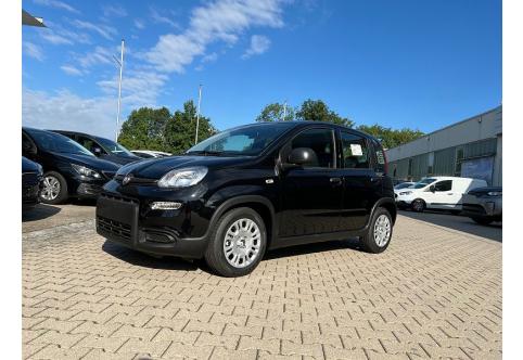 Fiat Panda #1