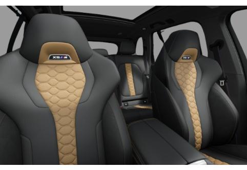 BMW X5M #8