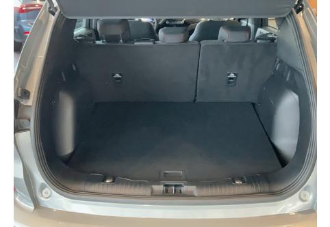 Ford Kuga #22